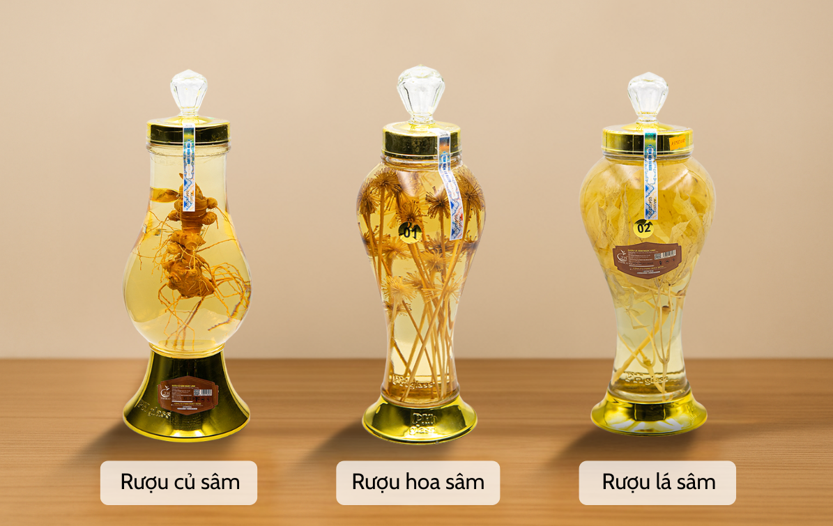 rượu sâm Ngọc Linh bao nhiêu tiền